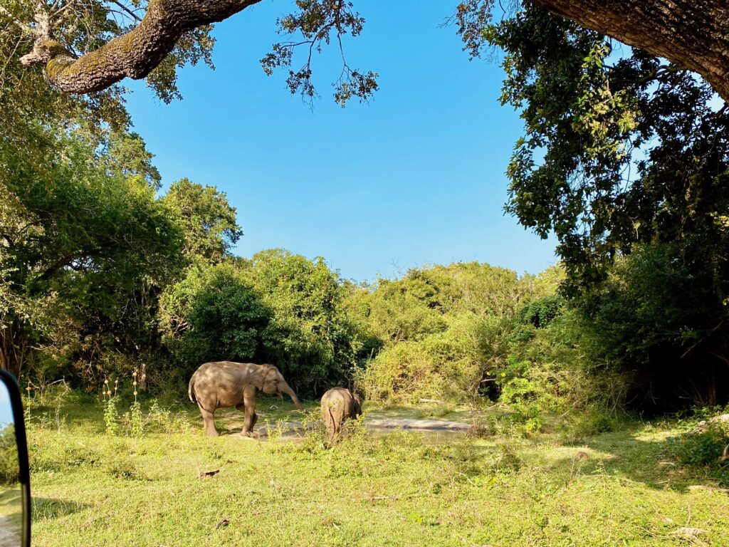 Sri Lanka National Parks