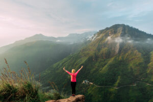 sri lanka landschaft stay golden